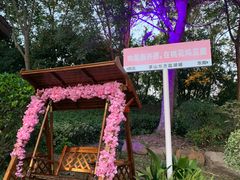 -茅山东方盐湖城景区