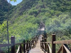 -大岭沟猕猴桃谷风景区