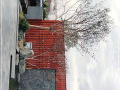 -川流不息(北蔡休闲广场店)