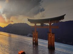 -白兔子密室(长寿路店)