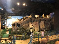 -陕西自然博物馆