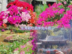 -广州市白云山风景名胜区