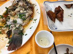 -鸽王世家(东华东路店)