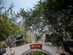 -桃花堤公园