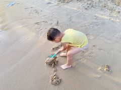 -西涌国际滨海旅游区