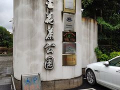 -金花茶公园