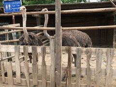 -呀路古热带植物园