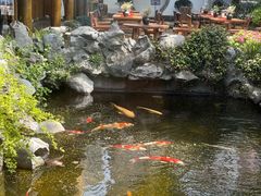 -鲤院·新中式美学·庭院餐厅(夫子庙店)