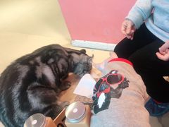 -藏猫猫咖啡主题馆(中央大道店)