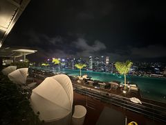 -RISE RESTAURANT(滨海湾金沙店)
