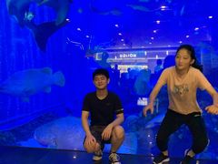 -成都浩海立方海洋公园