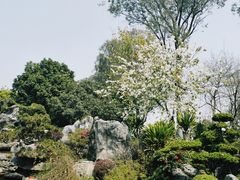 -东莞植物园