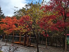 -吉林市朱雀山国家森林公园
