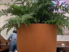 -新旺茶餐厅(鑫耀·光环live店)