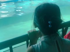 -北戴河圣蓝海洋公园