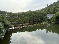 -九龙潭景区