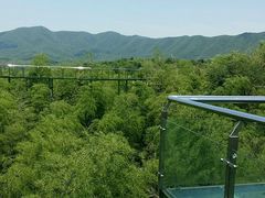 -陶祖圣境风景区