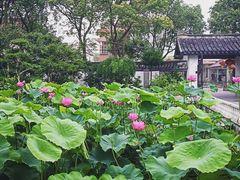 -龚家花园农家乐休闲别墅