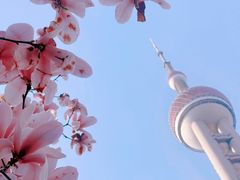 -东方明珠广播电视塔