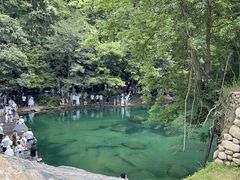 -石台牯牛降景区