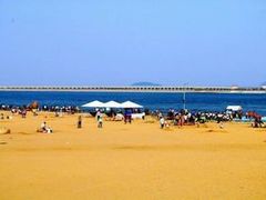 -碧海金沙