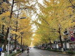 -四川大学(望江校区)