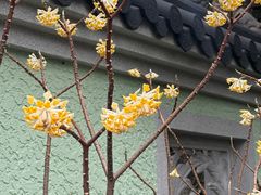 -浙江西子宾馆·牡丹厅