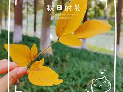 -升仙湖公园