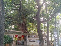 -广东紫坭糖厂(桥头路)
