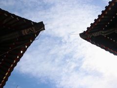 -北京艺术博物馆(万寿寺)