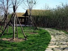 -西青郊野公园
