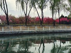 -皇家御河游(紫御湾码头)