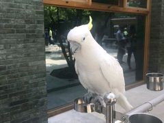 -那家山城(樱桃园店)