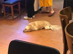 -元氏钵仔糕(北京路店)