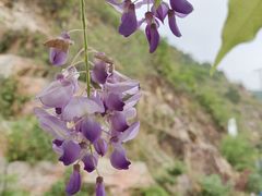 -黄腾峡生态旅游区