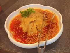 红油毛肚-浩运·海鲜青岛菜·海胆水饺(石老人店)