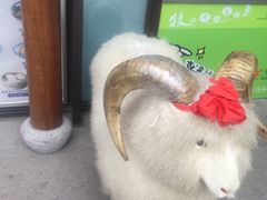 -羊肉街口老银川滩羊涮肉馆