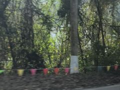 -野象谷景区
