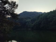 -白马涧龙池景区