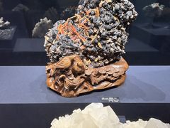 -山东博物馆