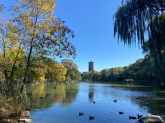 -北京大学百年讲堂