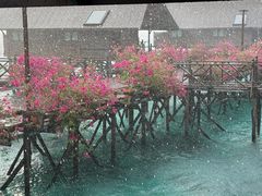 -卡帕莱度假村(西巴丹岛)