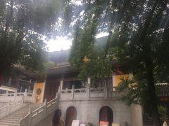 -雨花胜境