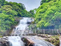-梁野山景区