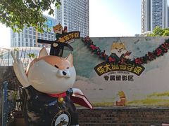 -柴犬高等学院·狗咖·柴犬售卖·宠物训练