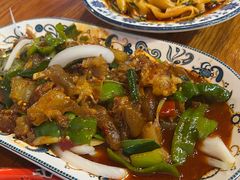 -柴窝堡22号辣子鸡·传承新疆菜