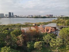 -立新湖公园