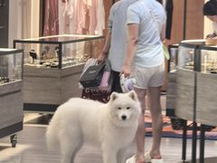 -上海来福士广场