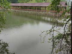-参仙谷生态旅游度假区