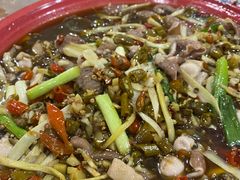 -东吴霸王兔(松青路店)